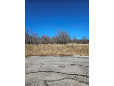 Lake Lot For Sale in Chico, Texas