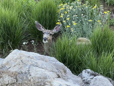 Experience the privacy and tranquility of mountain living in - photo 37