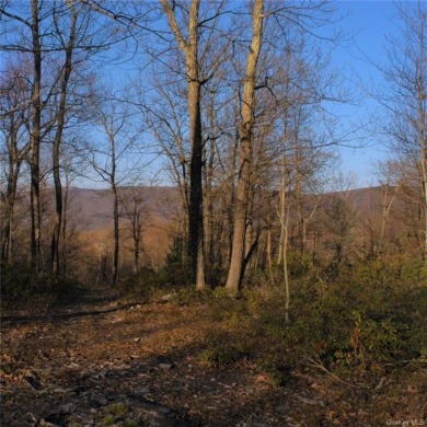 (private lake, pond, creek) Acreage For Sale in Mamakating New York