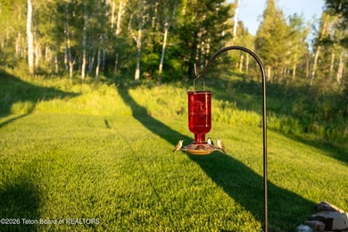 Experience the privacy and tranquility of mountain living in - photo 43