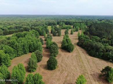 183+/- acres in northeast Tate County. A beautiful mixture of - photo 4