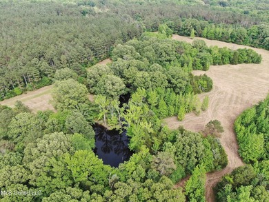 183+/- acres in northeast Tate County. A beautiful mixture of - photo 6