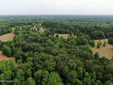 183+/- acres in northeast Tate County. A beautiful mixture of - photo 7