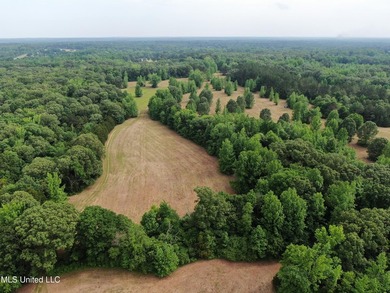 183+/- acres in northeast Tate County. A beautiful mixture of - photo 9