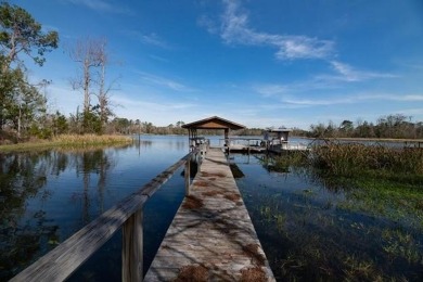 Lake Home For Sale in Bainbridge, Georgia