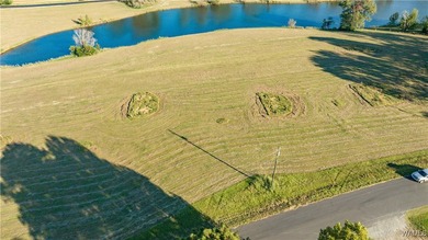 Explore pristine, level waterfront lots in a top-rated school - photo 11