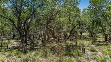 Beautiful lot with views and oak trees on a corner. Build your - photo 2