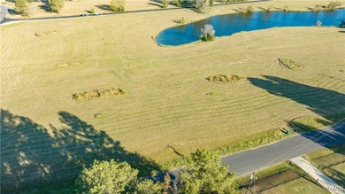 Explore pristine, level waterfront lots in a top-rated school - photo 14