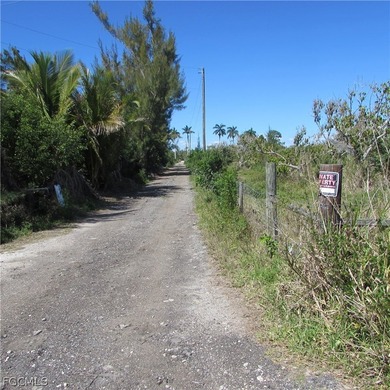 North end of PINE ISLAND in the Historic Area Of PINELAND, 18 - photo 2
