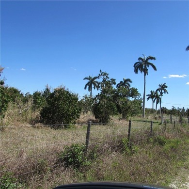 North end of PINE ISLAND in the Historic Area Of PINELAND, 18 - photo 4