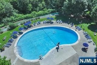 Stunning 1-Bedroom Co-op with Hudson River & GWB Views Welcome - photo 34