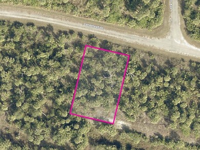 Discover the perfect opportunity to own a piece of fast-growing - photo 3