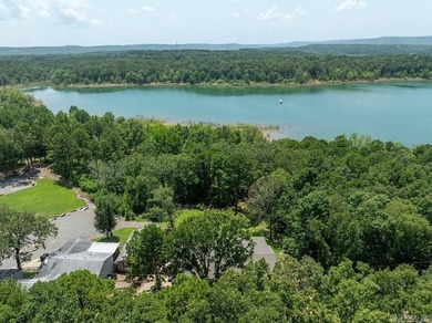 Lake life at its finest-fully furnished and move-in ready - photo 4