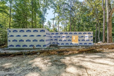 Lake Home For Sale in Baneberry, Tennessee