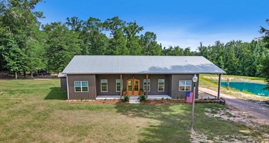 (private lake, pond, coastal) Home For Sale in Gordon Alabama