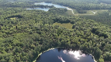 Tom Doyle Lake Acreage For Sale in Rhinelander Wisconsin
