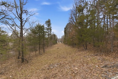 Lake Acreage For Sale in Forsyth, Missouri