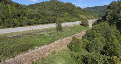 Two parcels with 34+ acres and nearly 3,000 feet of road - photo 3