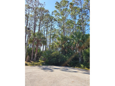 This oversized lot is located at the end of street on a cul de - photo 1