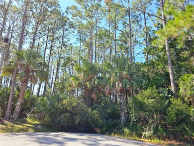 This oversized lot is located at the end of street on a cul de - photo 2