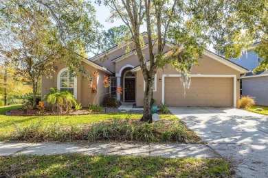 Lake Home For Sale in Land O Lakes, Florida