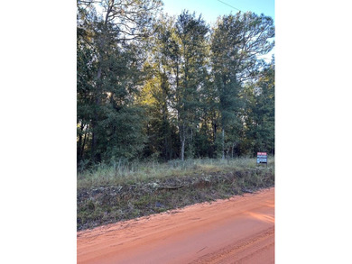 Lake Seminole Lot For Sale in Donalsonville Georgia