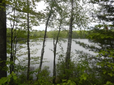 Lake Acreage For Sale in Land O Lakes, Wisconsin