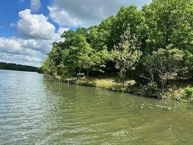 Don't miss your opportunity to own this beautiful lot near Crown - photo 2