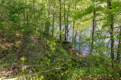 Plenty of space to stretch out by the Chippewa River! This - photo 40