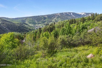 An Exceptional Beaver Creek Estate | Unrivaled Views & Refined - photo 7
