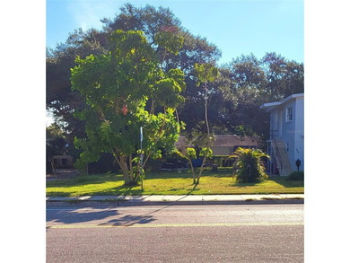 31st Street Vacant Lot - St. Petersburg, FL Build-ready - photo 5