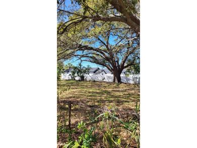 31st Street Vacant Lot - St. Petersburg, FL Build-ready - photo 10
