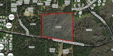 Withlacoochee River Acreage Sale Pending in Dunnellon Florida