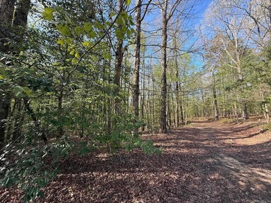Really Nice Rural Residential Home with 9.83 acres and a - photo 5