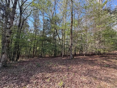 Really Nice Rural Residential Home with 9.83 acres and a - photo 7
