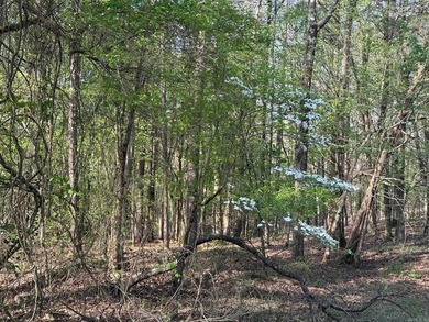 Really Nice Rural Residential Home with 9.83 acres and a - photo 8