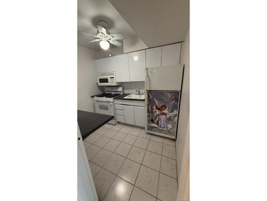 Rare opportunity to get a Lovely Large 1 Bedroom co-op with - photo 3