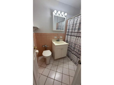 Rare opportunity to get a Lovely Large 1 Bedroom co-op with - photo 4