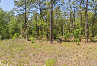 Bonable Lake Lot For Sale in Dunnellon Florida