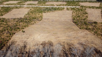 Lake Marion Acreage For Sale in Cross South Carolina