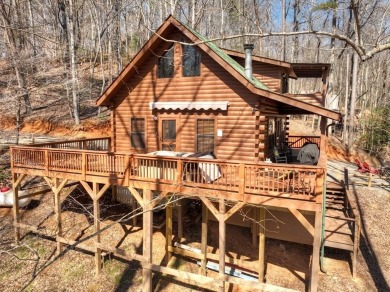 Lake Home For Sale in Cherry Log, Georgia