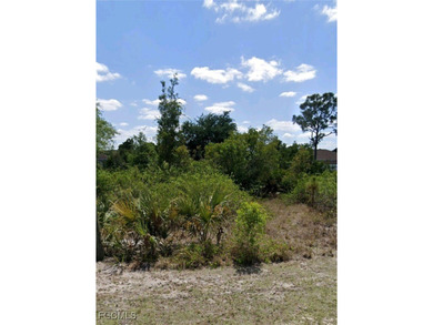 Lehigh Acres Area Lot For Sale in Lehigh Acres Florida