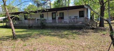 Lake Home For Sale in Donalsonville, Georgia