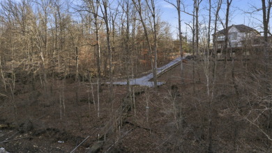 Big Lake Home in Moutardier Woods with Dock - photo 9