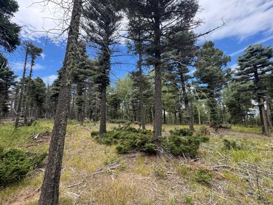 Monte Verde Lake Lot For Sale in Angel Fire New Mexico