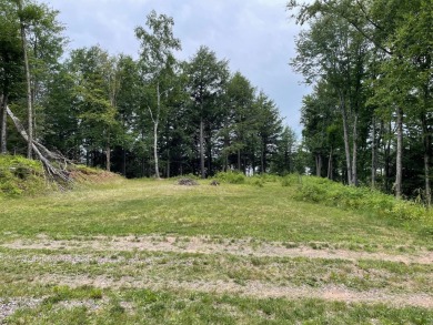 Lake Acreage For Sale in Watersmeet, Michigan