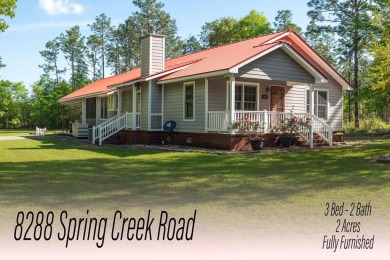 Lake Home For Sale in Donalsonville, Georgia