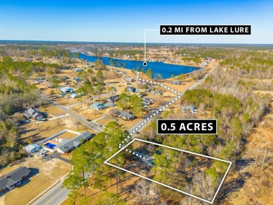 Lake Home For Sale in Alma, Georgia