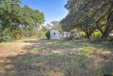 Lake Home For Sale in Frankston, Texas