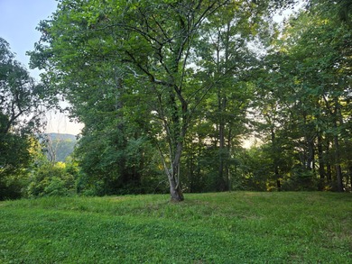 Build Your Dream Home by the Water! This prime lot offers the - photo 9